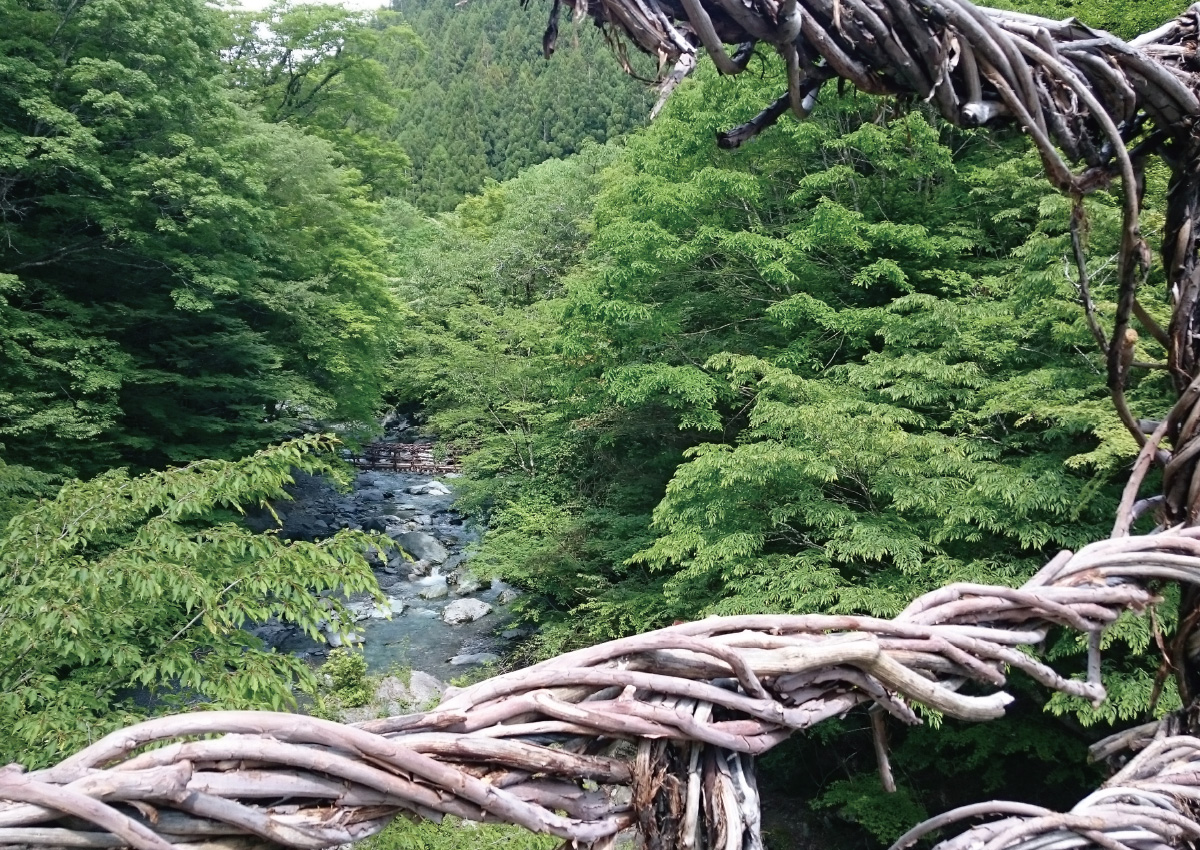 Oku-Iya Double Vine Bridges in Unexplored Region of Japan