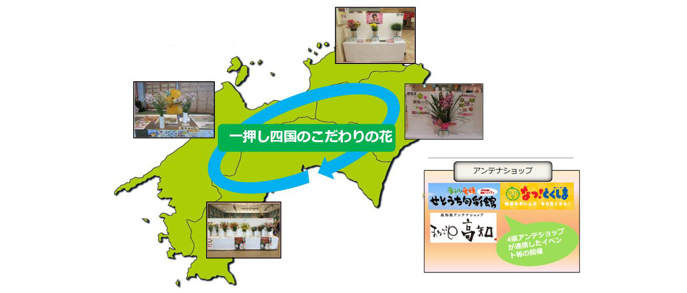 （左図）四国４県の花、（右図）アンテナショップとの連携の図