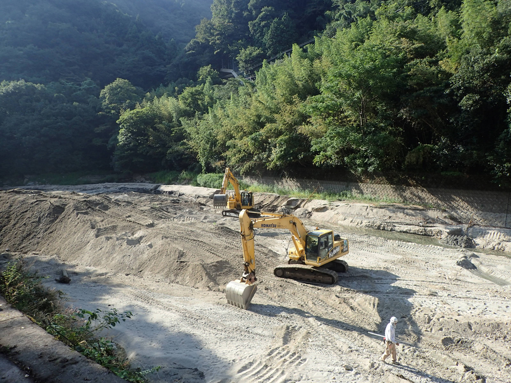 写真：【実施前】