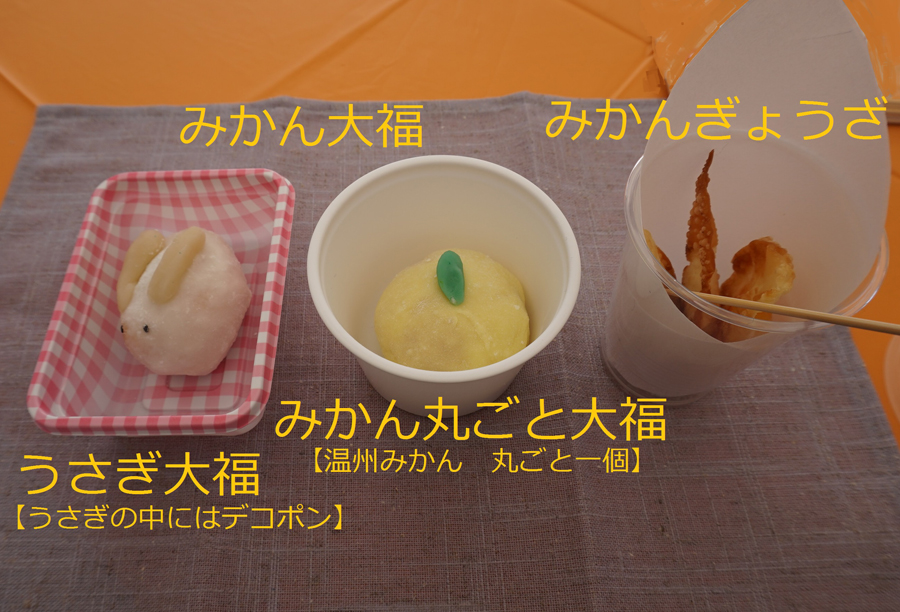 写真:【実施後】
