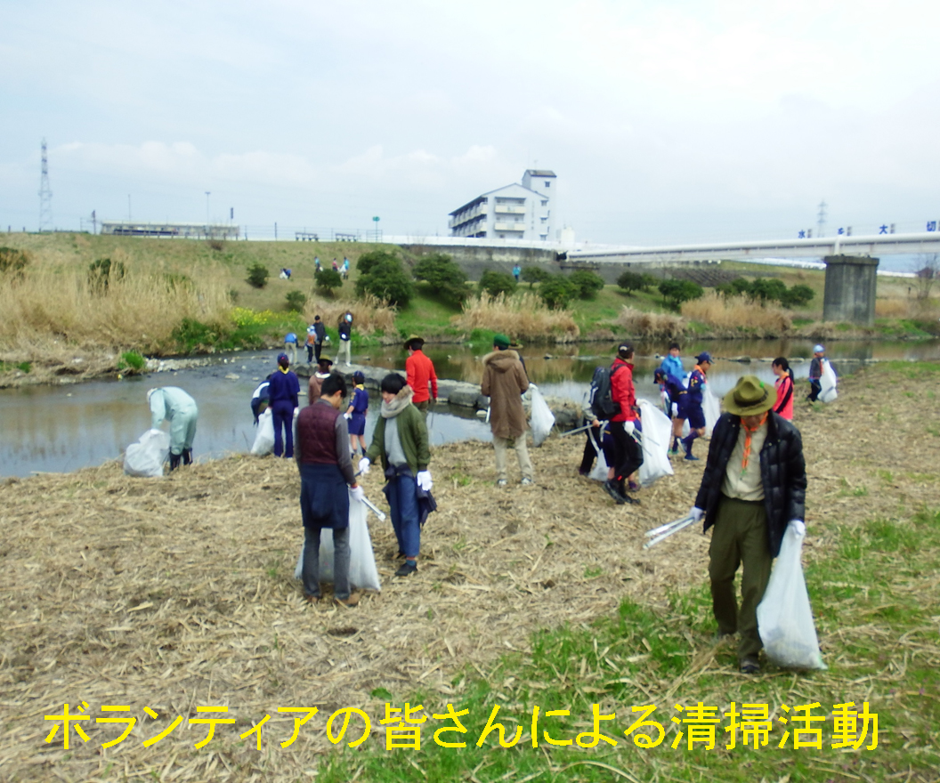 河川清掃活動写真