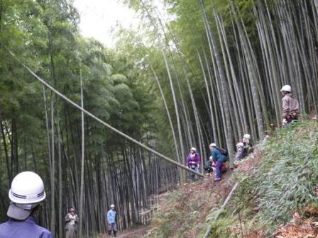 写真：【竹の間伐体験】