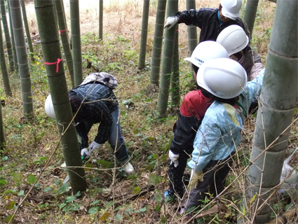 写真：【竹の伐採体験】