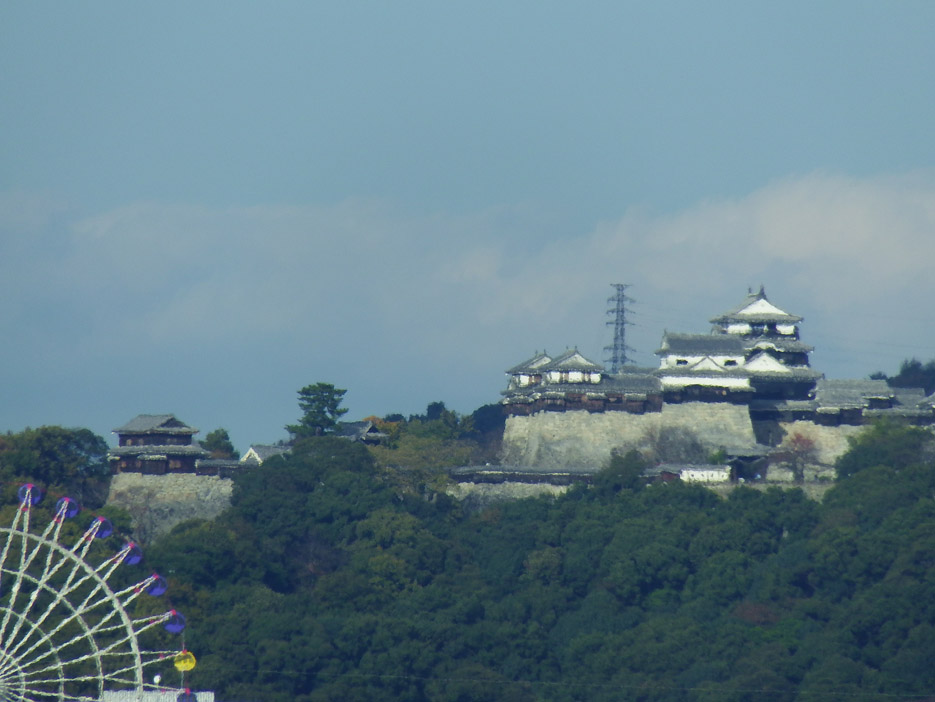 写真：【古川第２高架橋付近より　見た　松山城】