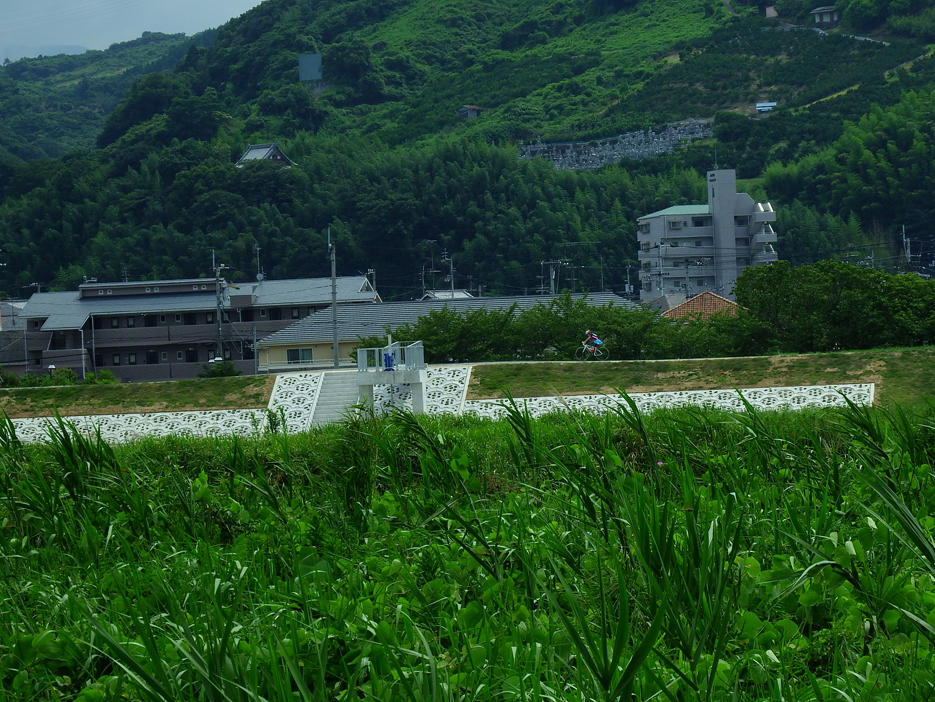 写真：【改修後の重信川左岸側　の赤坂樋門全景（平成２８年７月）】