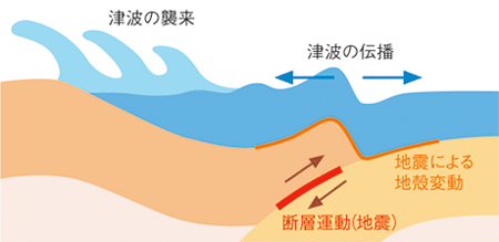 津波の発生 海底下の断層運動(地震)の結果、海底に地殻変動が発生し、その上の海水を押し上げる。この押し上げられた水の塊が津波となり、四方に広がっていく。