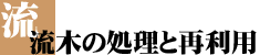 流木の処理と再利用