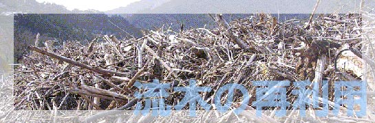流木の再利用イメージ