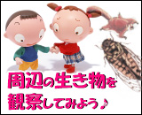 ���ӂ̐��������ώ@���Ă݂悤