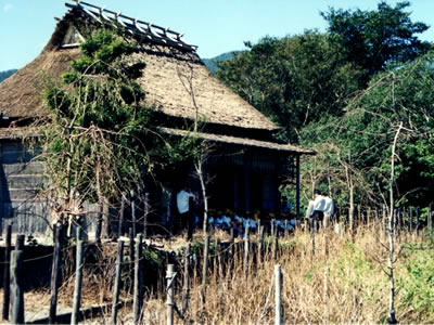 技の館　泉水庵