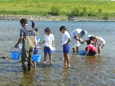 水生生物採取 