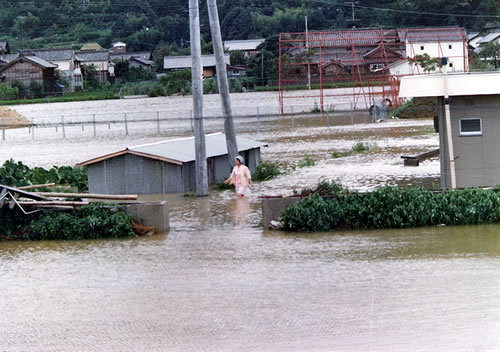 川島内水状況