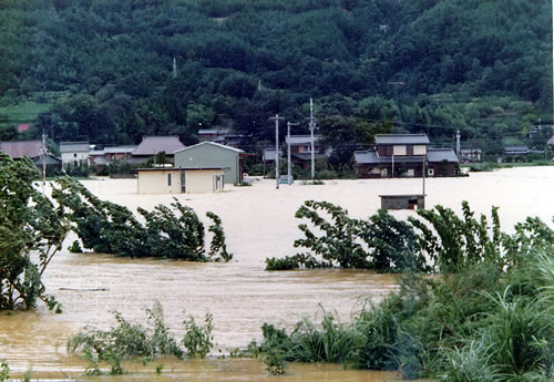 川島内水状況