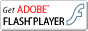 Flash Player ������Ϥ�����