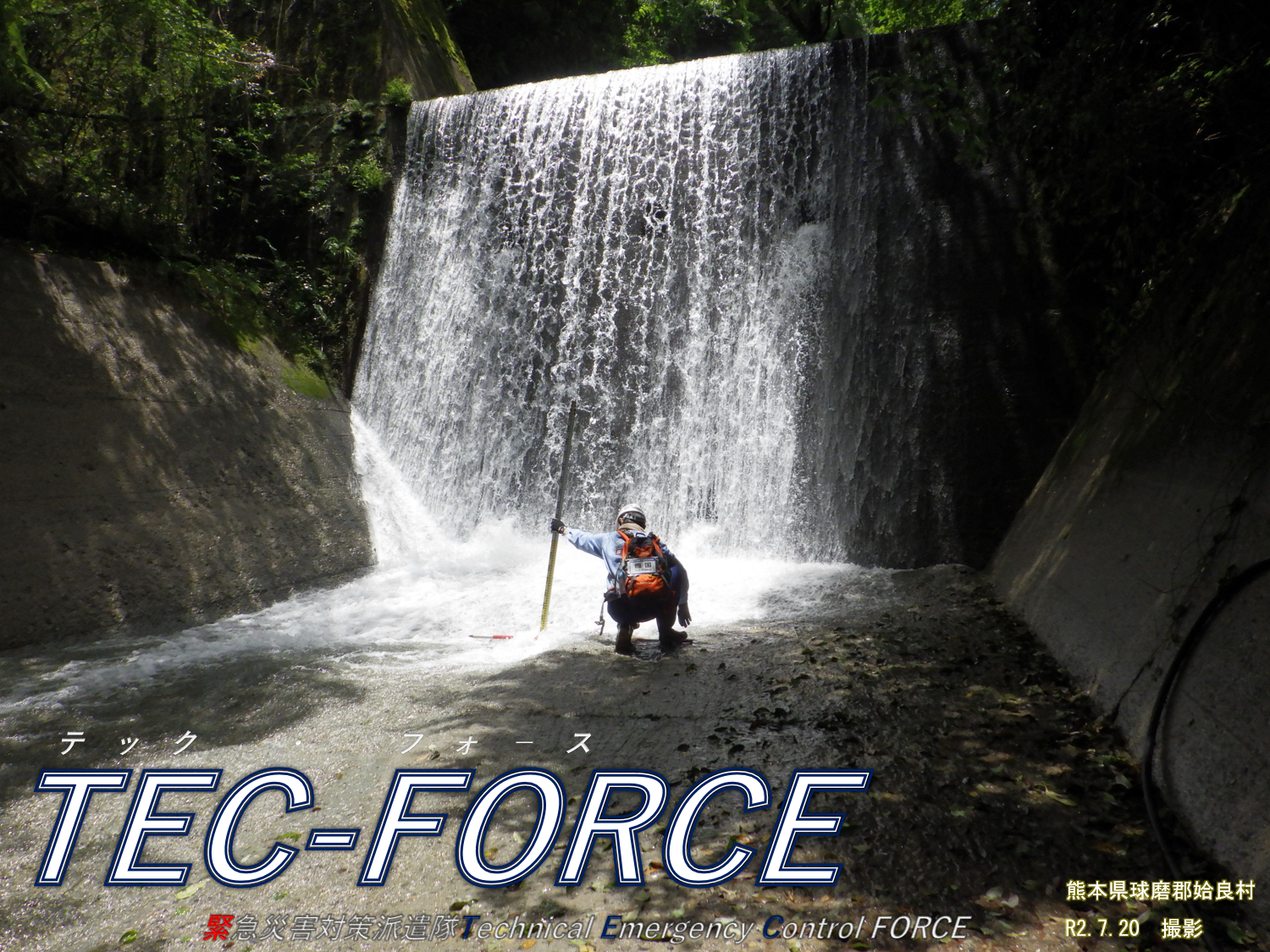 ＴＥＣ－ＦＯＲＣＥ