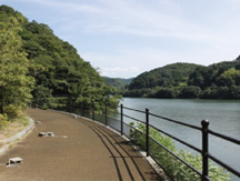 湖岸からの鹿野川湖