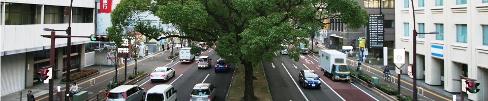 香川の道