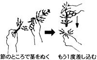 ツクシの利用方法イメージ