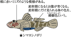 われら土器川探検隊 香川河川国道事務所