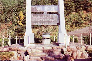 ���Ԍ���