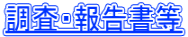 E񍐏