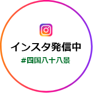 インスタ発信中