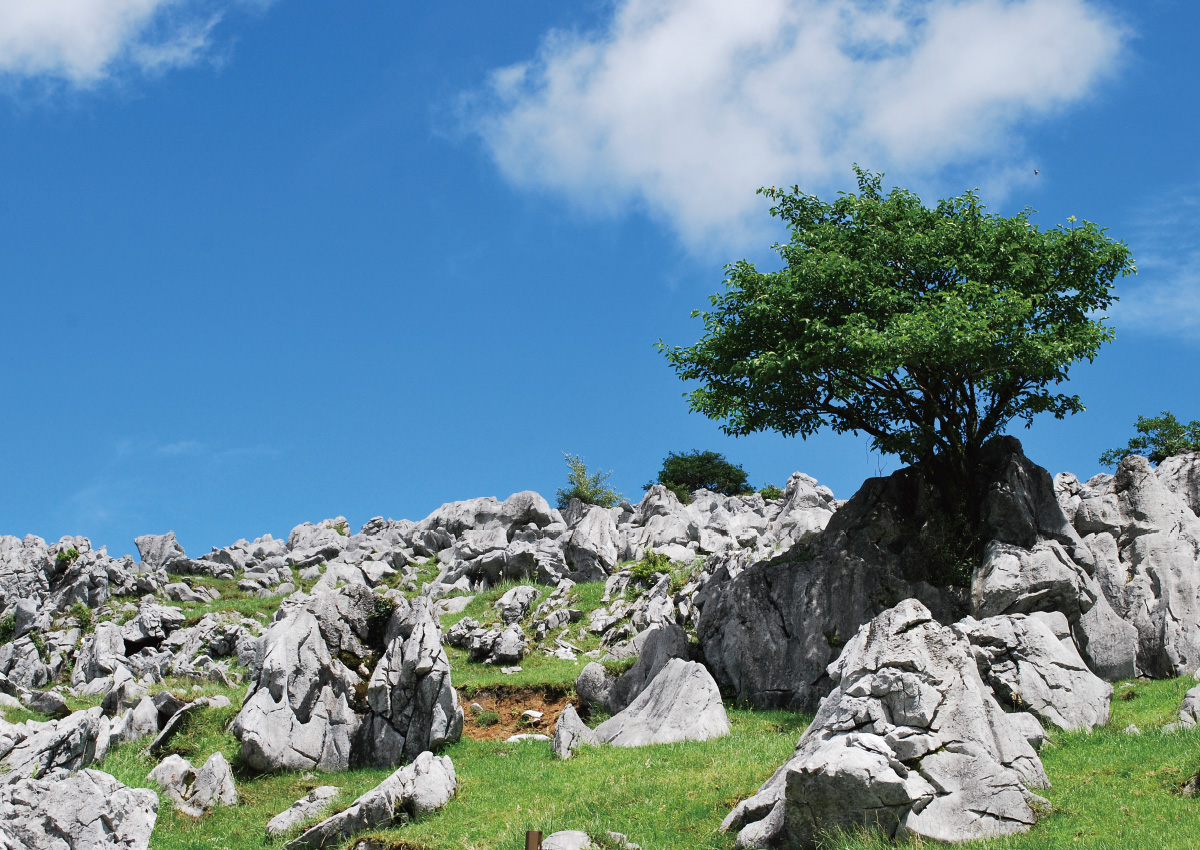 Shikoku Karst, a Playground in the Sky