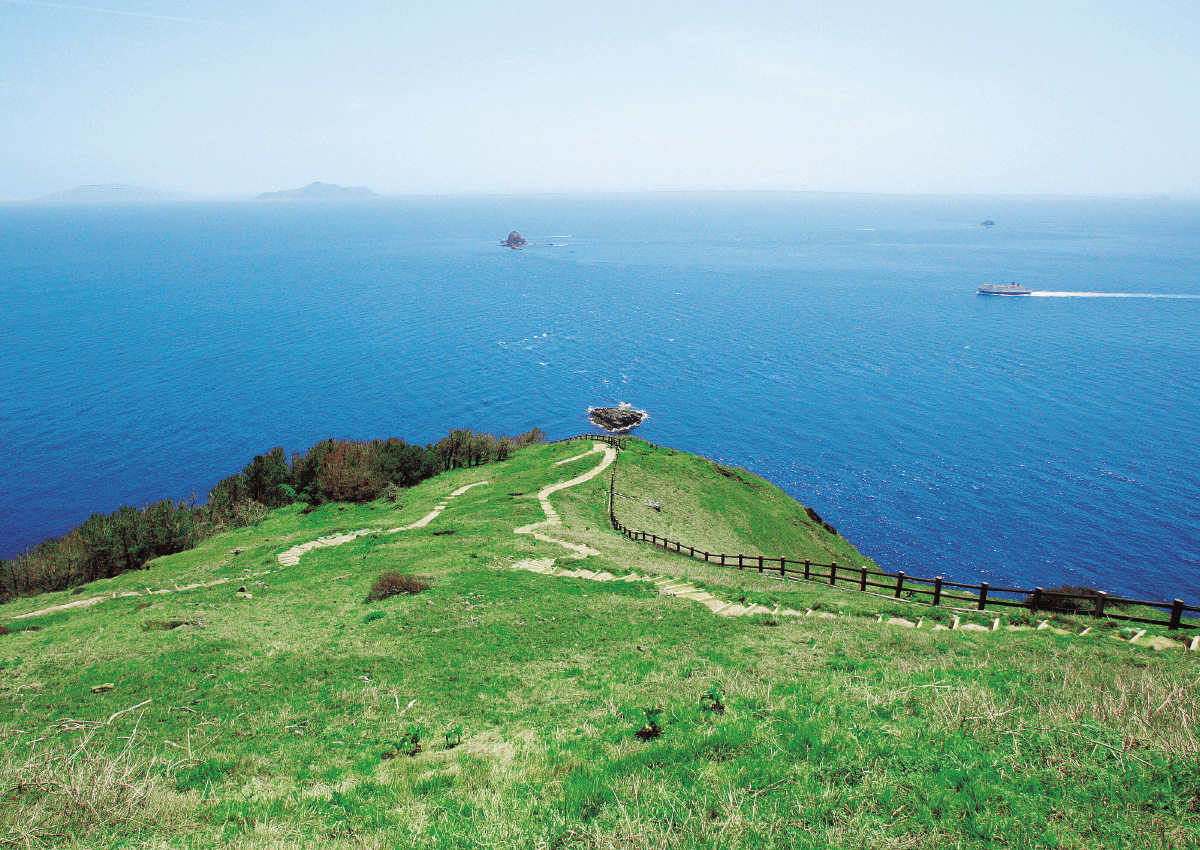 連なる断崖絶壁と太平洋の広大な海原を一望