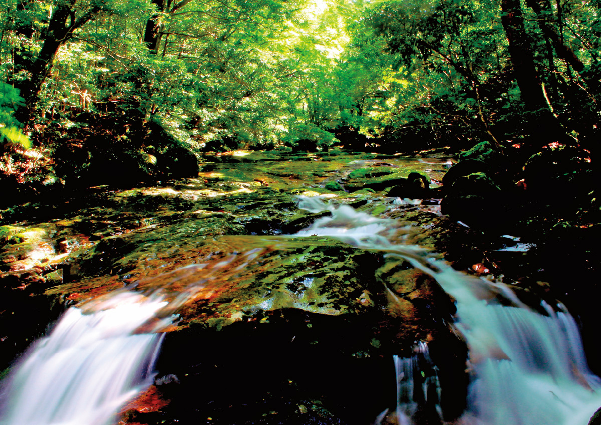 Narukawa Gorge, a Stunning Ravine Throughout the Seasons