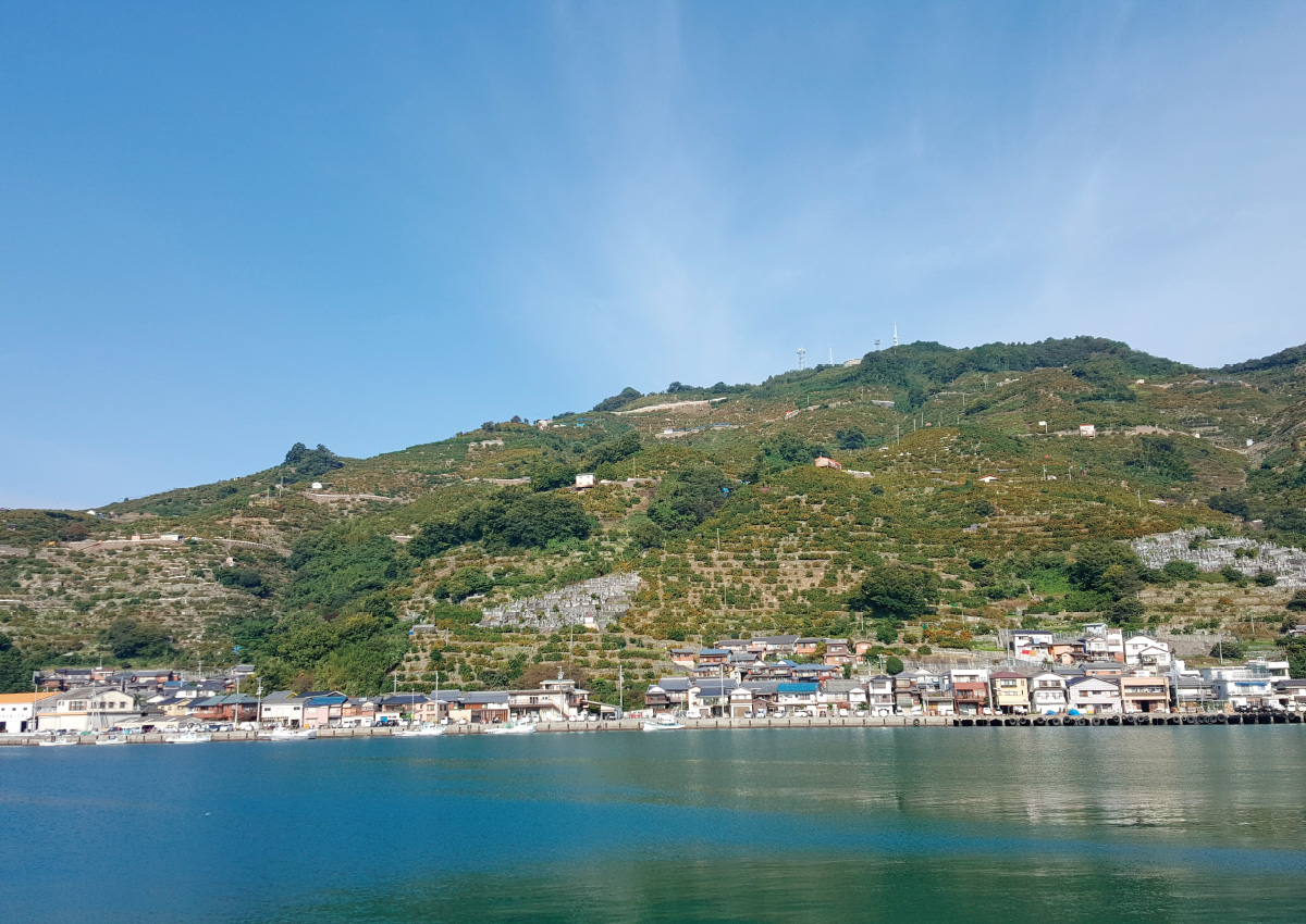 Terraced Fields of Mukainada in Yawatahama