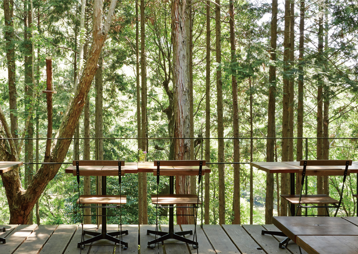 傳達「與木共生」，綠意舒服的空間