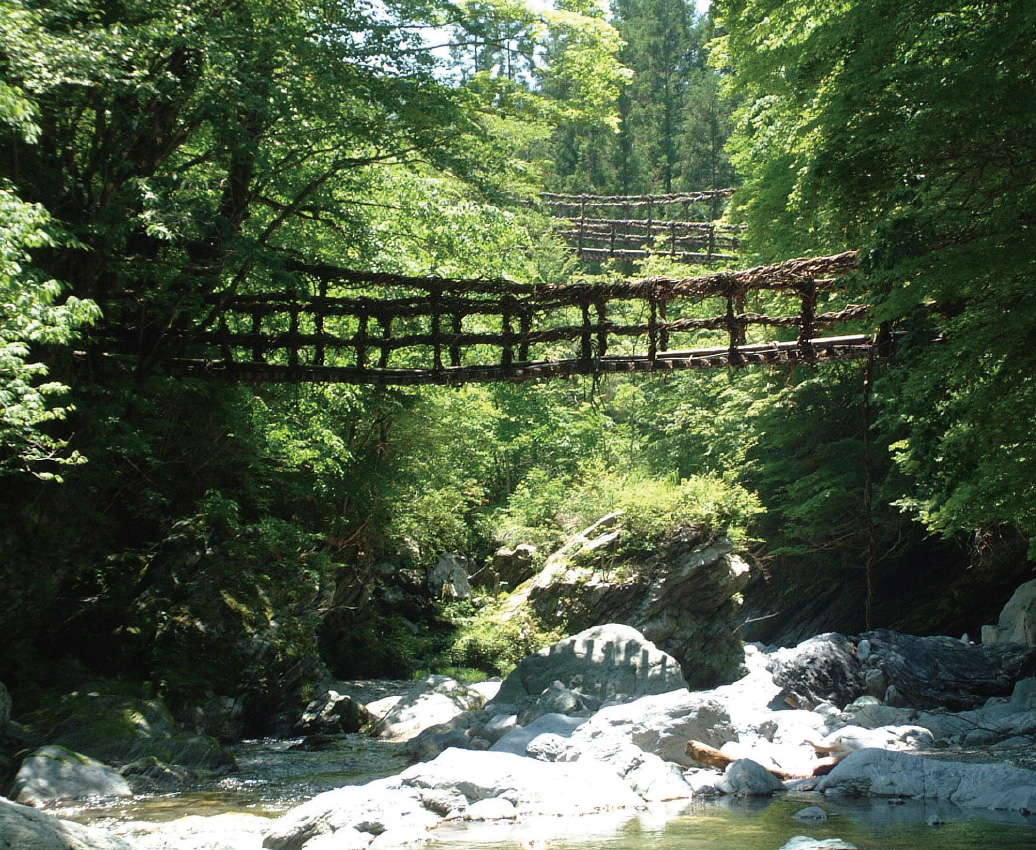 奧祖谷二重藤蔓橋