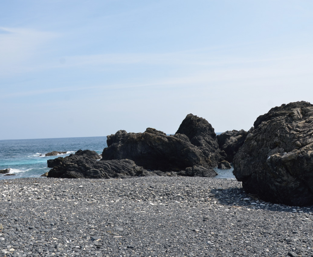 室戶岬（灌頂濱）