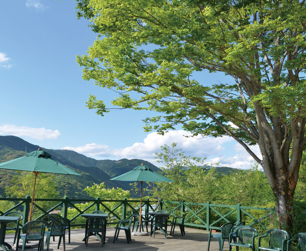 「莫內庭園」馬摩丹