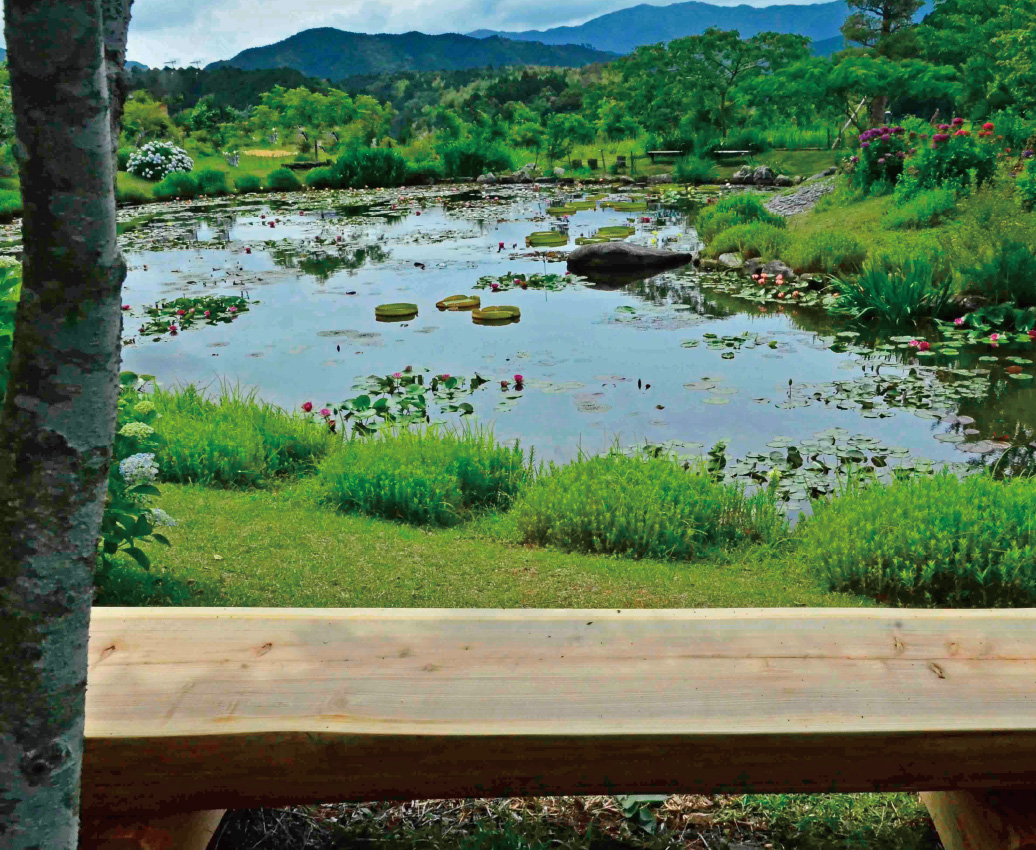 Hoshigaoka Park (Himeno Peony Village)