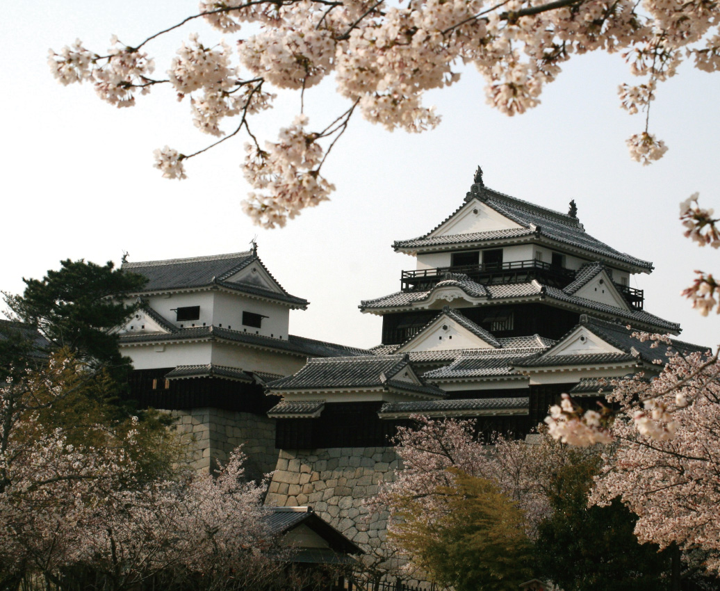 Matsuyama Castle