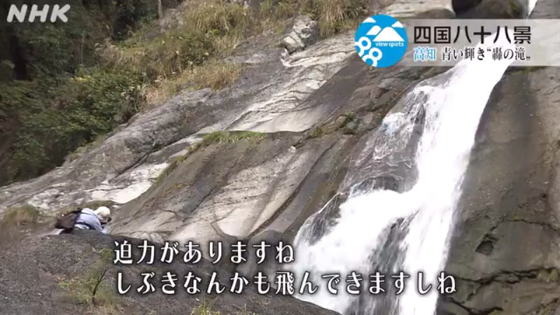動画のキャプチャー