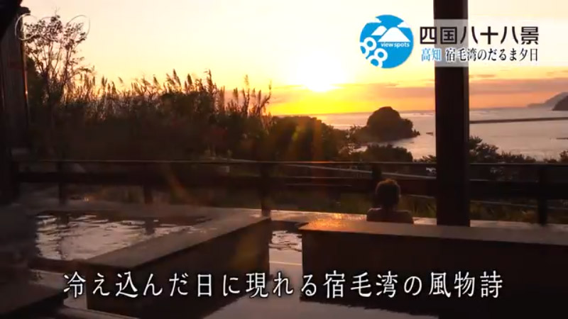 動画のキャプチャー