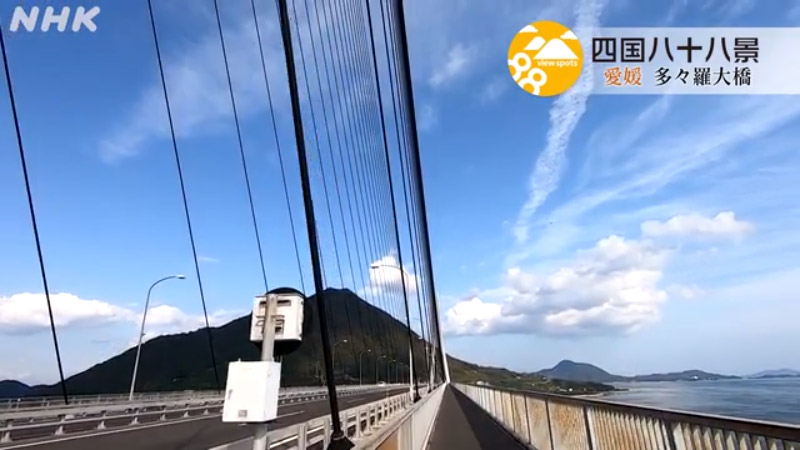 動画のキャプチャー