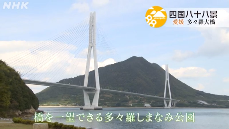 動画のキャプチャー