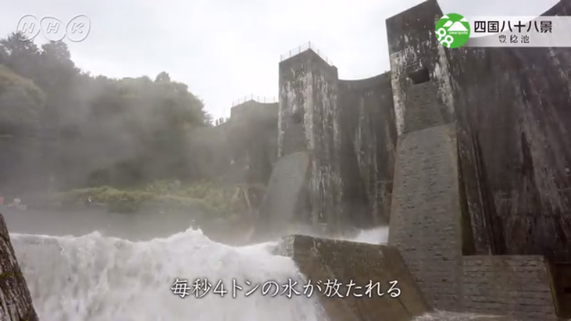動画のキャプチャー
