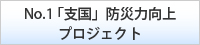「支国」防災力向上プロジェクト