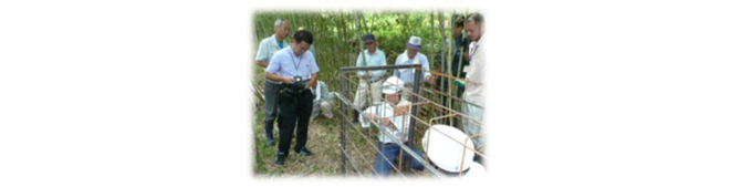 野生鳥獣被害対策の推進(シカ捕獲用小型囲いわな)の写真