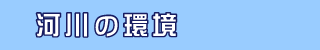 河川の環境