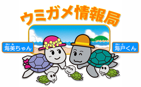 ウミガメ情報局 ウミガメ情報局