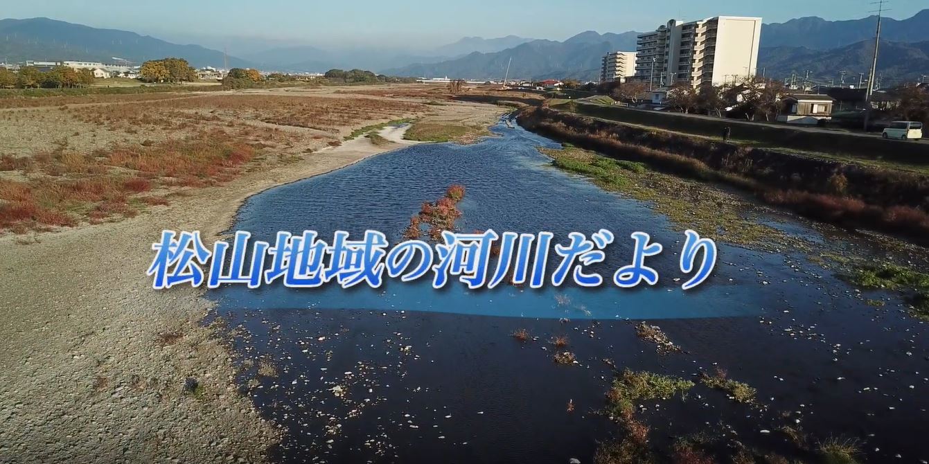 松山地域の河川だより