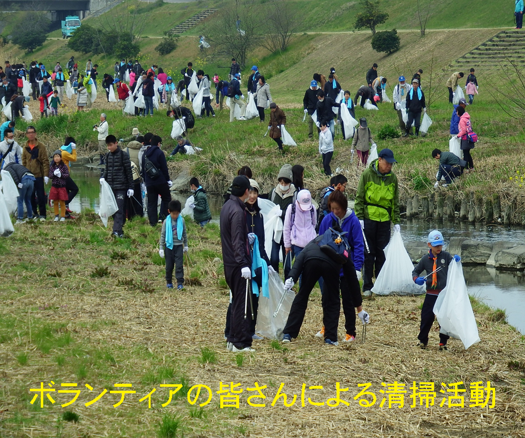 河川清掃活動写真