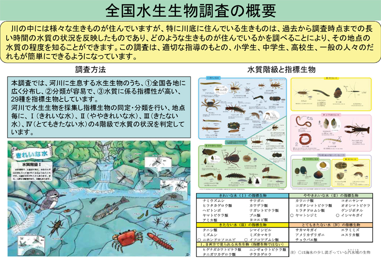 全国水生生物調査の概要