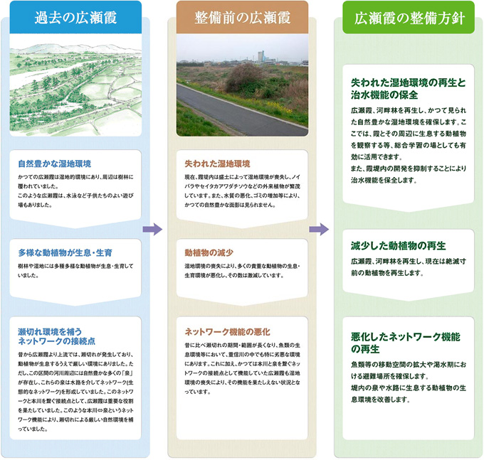 広瀬霞の整備方針