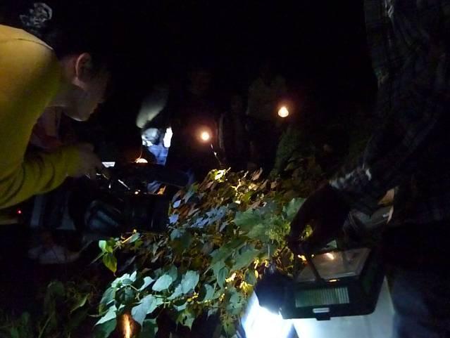 写真：【虫の声を聞く】